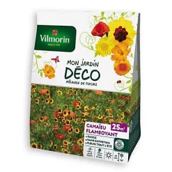 Castorama Graines Mélange Camaieu Flamboyant 25 M²