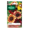 Castorama Graines Soleil Beauté D'Automne Vilmorin 2 Castorama Graines Soleil Beauté D'Automne Vilmorin -Clôture Soldes graines soleil beaute d automne vilmorin3211500010742 08c