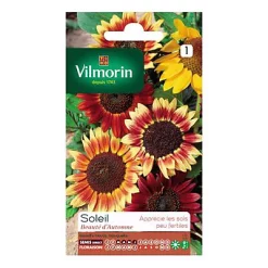 Castorama Graines Soleil Beauté D'Automne Vilmorin