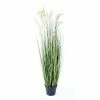 Castorama Graminée Papyrus Scirpus Artificiel H.125 Cm -Clôture Soldes graminee papyrus scirpus artificiel h 125 cm3700543508236 01c FR CF