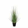 Castorama Gras Vert Artificiel ø30 X H.53 Cm En Pot Plastique ø10 Cm 2 Castorama Gras Vert Artificiel ø30 X H.53 Cm En Pot Plastique ø10 Cm -Clôture Soldes gras vert artificiel 30 x h 53 cm en pot plastique 10 cm8718861050806 01c FR CF