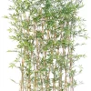 Castorama Haie Bambou Japanese Artificiel H.160 Cm 2 Castorama Haie Bambou Japanese Artificiel H.160 Cm -Clôture Soldes haie bambou japanese artificiel h 160 cm3700543510222 01c FR CF