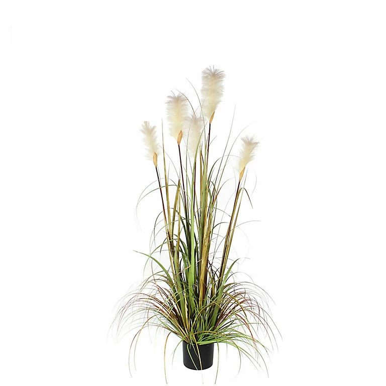 Castorama Herbe Panache Foxtail Vert Artificiel En Pot Plastique ø70 X H.150 Cm 3 Castorama Herbe Panache Foxtail Vert Artificiel En Pot Plastique ø70 X H.150 Cm
