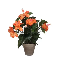 Castorama Hibiscus Orange Artificiel ø30 X H.40 Cm En Pot Stan Gris ø11,5 Cm
