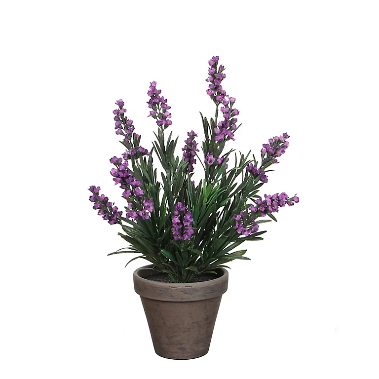 Castorama Lavande Violet Artificiel ø20 X H.33 Cm En Pot Stan Gris ø11,5 Cm 3 Castorama Lavande Violet Artificiel ø20 X H.33 Cm En Pot Stan Gris ø11,5 Cm