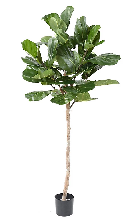 Castorama Lyrata Tige Tête Artificiel 3 Castorama Lyrata Tige Tête Artificiel