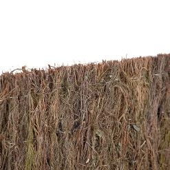 Castorama Occultant Brande Bruyère Blooma 6kg/m² L.3 M X H.1.5 M