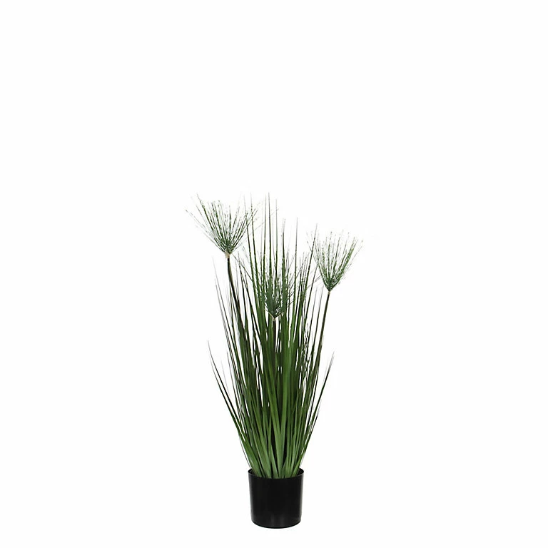 Castorama Papyrus Artificiel En Pot Plastique Vert ø12,5 X H.76 Cm 3 Castorama Papyrus Artificiel En Pot Plastique Vert ø12,5 X H.76 Cm