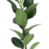 Castorama Plante D'intérieur Ficus Elastica Robusta H.145 Cm 2 Castorama Plante D'intérieur Ficus Elastica Robusta H.145 Cm -Clôture Soldes plante d interieur ficus elastica robusta h 145 cm5063022013033 01c FR CF