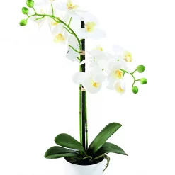 Castorama Pot Phalaenopsis Artificiel 2