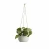 Castorama Pothos Tacheté, Pot En Céramique Suspendu, 13cm 1 Castorama Pothos Tacheté, Pot En Céramique Suspendu, 13cm -Clôture Soldes pothos tachete pot en ceramique suspendu 13cm3663602497325 02c