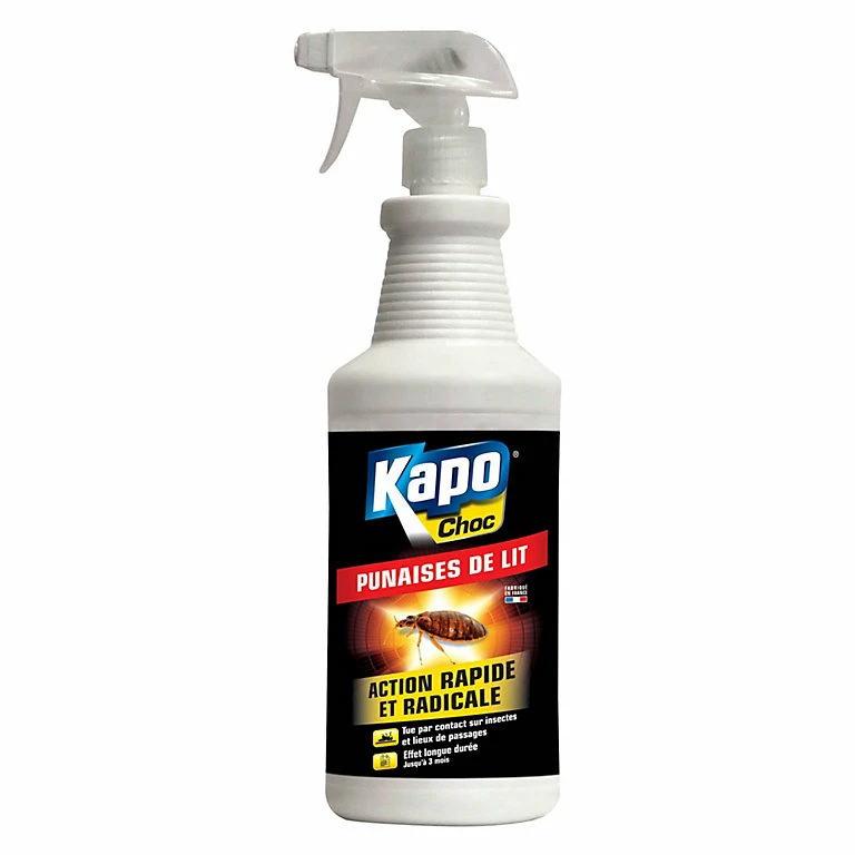 Castorama Pulvérisateur Anti Punaises De Lit 1L 3 Castorama Pulvérisateur Anti Punaises De Lit 1L