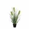 Castorama Roseau Vert Artificiel ø30 X H.53 Cm En Pot Plastique ø10 Cm -Clôture Soldes roseau vert artificiel 30 x h 53 cm en pot plastique 10 cm8718861050844 01c FR CF