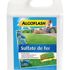 Castorama Sulfate De Fer Algoflash 5L