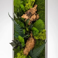 Castorama Tableau Végétal Stabilisé Rectangle