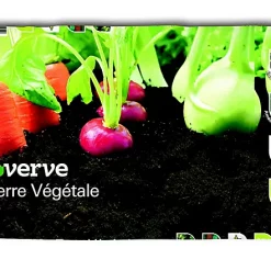 Castorama Terre Végétale Verve 25 L