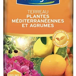 Castorama Terreau Agrumes Fertiligène 6L