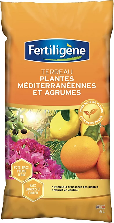 Castorama Terreau Agrumes Fertiligène 6L 3 Castorama Terreau Agrumes Fertiligène 6L