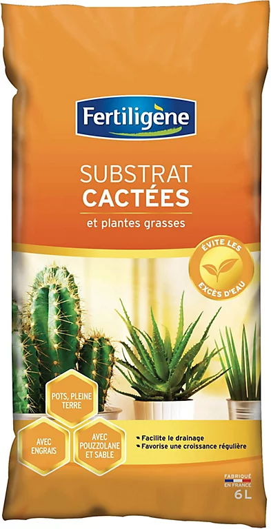 Castorama Terreau Cactée Fertiligène 6L 3 Castorama Terreau Cactée Fertiligène 6L
