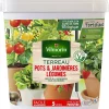 Castorama Terreau Légumes Vilmorin 5L 2 Castorama Terreau Légumes Vilmorin 5L -Clôture Soldes terreau legumes vilmorin 5l3182670277337 01c FR CF