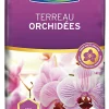 Castorama Terreau Orchidée Fertiligène 6L 2 Castorama Terreau Orchidée Fertiligène 6L -Clôture Soldes terreau orchidee fertiligene 6l3121970183078 01c FR CF