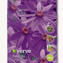 Castorama Terreau Universel Verve 10 L