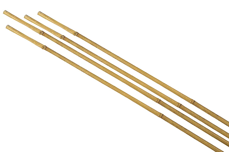 Castorama Tuteur Pour Plante En Bambou H.120 Cm (lot De 4) 3 Castorama Tuteur Pour Plante En Bambou H.120 Cm (lot De 4)