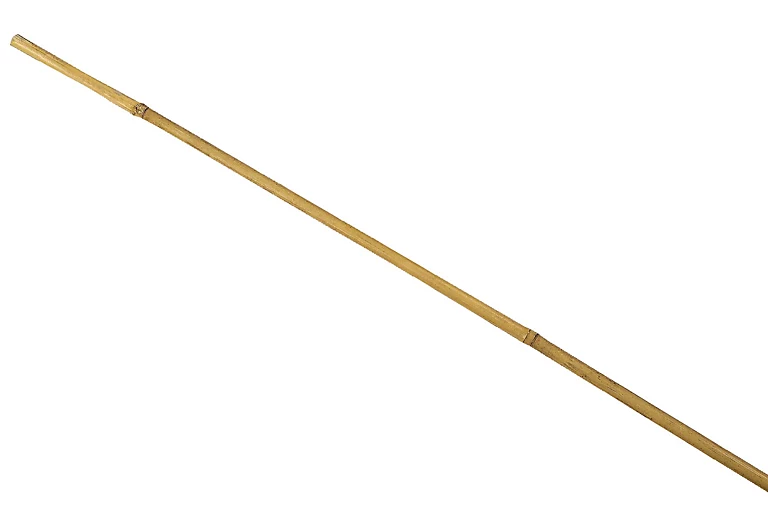 Castorama Tuteur Pour Plante En Bambou H.210 Cm 3 Castorama Tuteur Pour Plante En Bambou H.210 Cm