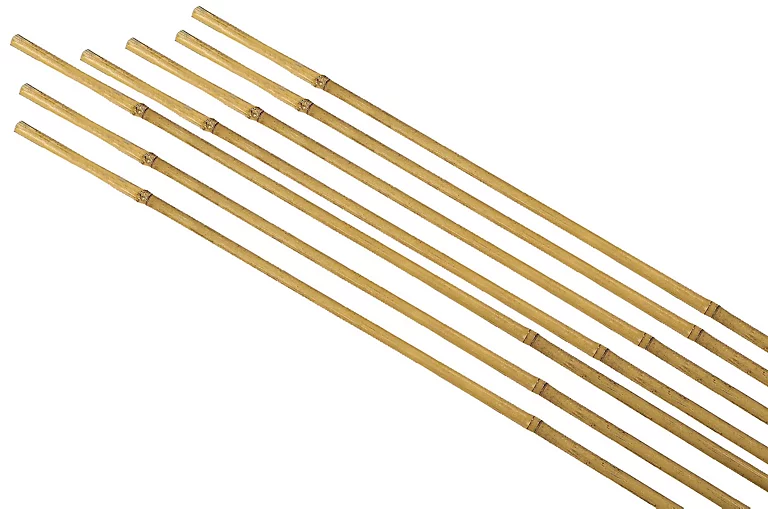 Castorama Tuteur Pour Plante En Bambou H.60 Cm (lot De 7) 3 Castorama Tuteur Pour Plante En Bambou H.60 Cm (lot De 7)