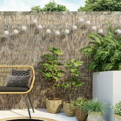 Castorama Canisse Osier Blooma 3 X H.1,5 M