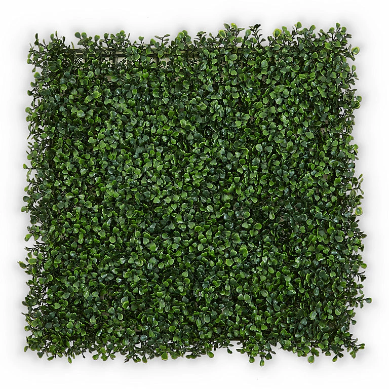 Castorama Ecran De Verdure Clipsable Blooma 50 X 50 Cm 3 Castorama Ecran De Verdure Clipsable Blooma 50 X 50 Cm